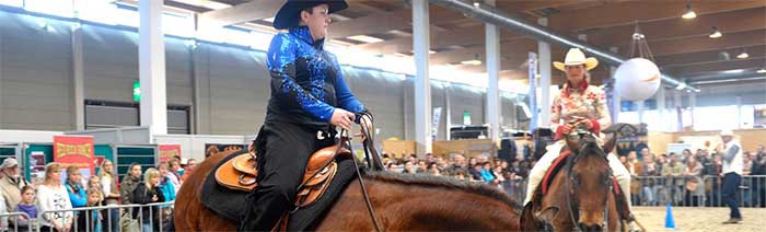 Messe am Bodensee rund um das Thema Pferd