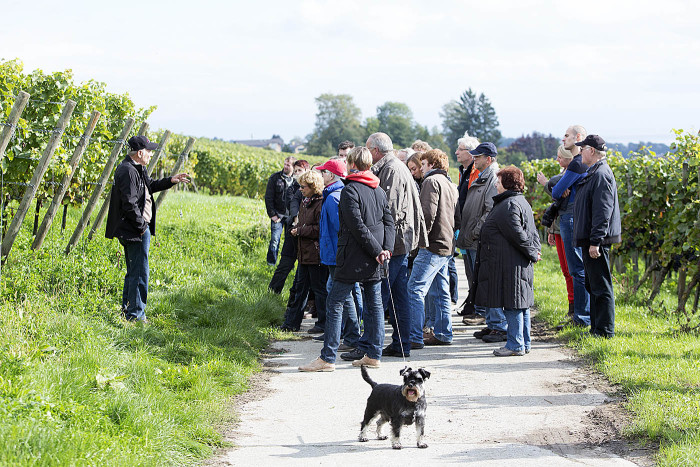 Wein und Edelbrand- Genussführung