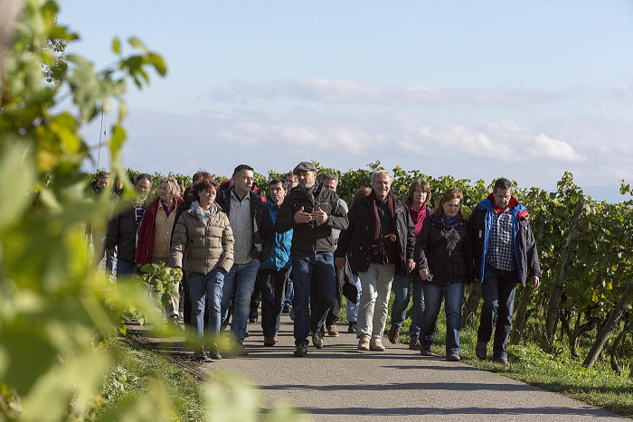 Herbstweinprobe „Reben, Suser und Wein“