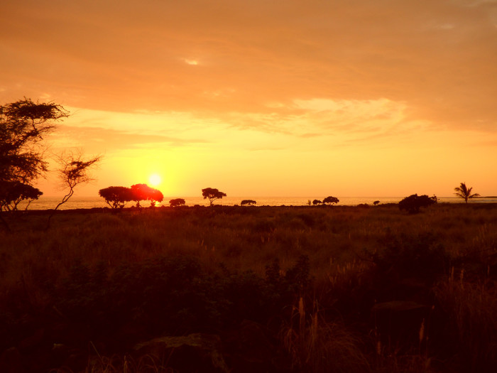 Afrika – Lesung & Essen