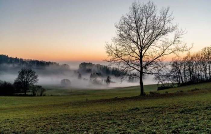 Morgenkonzert | Montforter Zwischentöne